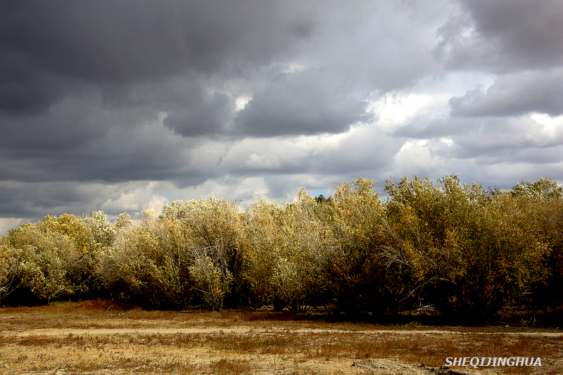 包含这也行？风云突变里昂窗口期门线救险风云突变本菲卡转会期绝杀压哨，布鲁克林篮网临场应变备战CBA季后赛的词条-九游官网app